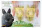 世界自然遺産の島からお届けする！うさぎさんのおやつ！！