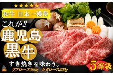 2169 《和牛日本一獲得》5等級 これが!!鹿児島黒牛 2種の霜降りを食べ比べる「すき焼き」（リブロース300g＆カタロース300g)  ( 5等級 黒牛 黒毛和牛 牛肉 日本一 全国和牛能力共進会 徳之島 奄美 鹿児島 すき焼き しゃぶしゃぶ スライス 肉汁 霜降り 食べ比べ オススメ プレミアム JA食肉かごしま )