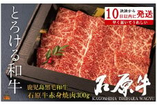 2246 世界が絶賛した“とろける和牛”幻の石原牛 赤身焼肉300g ( 鹿児島黒毛和牛 ブランド牛 牛肉 ビーフ こだわり プレミアム オメガ３脂肪酸 贈答 ギフト 徳之島 奄美 鹿児島 美味しい 赤身 脂身 ステーキ 焼肉 BBQ 世界基準 石原PRO 決済後10日以内発送 )