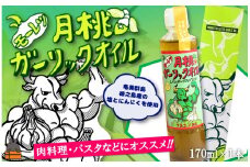 2257 お料理に月桃とにんにくパワー！徳之島モーレツ 月桃ガーリックオイル（170ml×1本）   ( 月桃 にんにく ニンニク オイル エキストラバージンオイル 調味料 アホエン スパイス 料理 塩 徳之島 奄美 鹿児島 世界自然遺産 パスタ 肉料理 パン サラダ 奄美海援隊 )