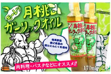 2258 お料理に月桃とにんにくパワー！徳之島モーレツ 月桃ガーリックオイル（170ml×2本）   ( 月桃 にんにく ニンニク オイル エキストラバージンオイル 調味料 アホエン スパイス 料理 塩 徳之島 奄美 鹿児島 世界自然遺産 パスタ 肉料理 パン サラダ 奄美海援隊 )