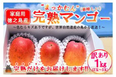 2267 ≪今が旬！≫訳あり！【家庭用】徳之島産完熟マンゴー1kg（2～3玉）( マンゴー フルーツ わけあり 訳あり 訳有 果物 完熟 無加温 徳之島 世界自然遺産 美味しい とろける 旬 贅沢 糖度 南の島 )