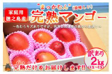 2270 ≪今が旬！≫訳あり！【家庭用】徳之島産完熟マンゴー2kg（4～8玉）( マンゴー フルーツ わけあり 訳あり 訳有 果物 完熟 無加温 徳之島 世界自然遺産 美味しい とろける 旬 贅沢 糖度 南の島 )