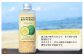 爽やかな柑橘の香りが特徴のヤマシークニン。