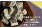 鹿児島県徳之島からこだわりの純黒糖をお届けします！