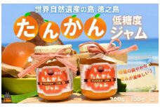 2356 徳之島産完熟たんかん使用！低糖度の徳之島たんかんジャム（100g×2） （ たんかん タンカン 完熟 ジャム パン 朝ごはん 果物 フルーツ 柑橘 徳之島 奄美 鹿児島 美味しい キッチンこころ ）