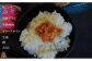 オリーブオイル風味が様々な食材の旨みを引き出します！