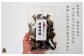 欠けあり、サイズはバラバラですが、おいしさはA品と変わりません。