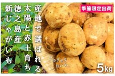 2013《2026年春お届け！》～これからは産地で選びたくなる～徳之島産新じゃがいも（5kg） ( バレイショ 野菜 旬 春 徳之島 奄美 鹿児島 肉じゃが カレー じゃがバター 美味しい 人気 オススメ )