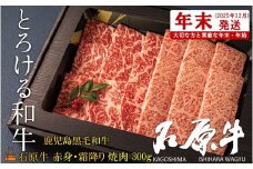 2469 《年末配送！》世界が絶賛した“とろける和牛”幻の石原牛 赤身・霜降り食べ比べ焼肉300g ( 鹿児島黒毛和牛 ブランド牛 牛肉 ビーフ こだわり プレミアム オメガ３脂肪酸 贈答 ギフト 徳之島 奄美 鹿児島 美味しい 赤身 霜降り 脂身 ステーキ 焼肉 BBQ 世界基準 石原PRO 年末発送 )