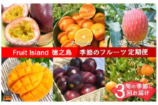 1903《限定受付》フルーツアイランド徳之島 季節のフルーツ定期便 ( 3回お届け 完熟マンゴー マンゴー パッションフルーツ たんかん 柑橘 果物 徳之島 奄美 鹿児島 定期便 世界自然遺産 旬 )