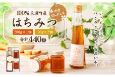 天城町産 徳之島 はちみつ 泡雪栴檀草 合計440g（260g×1個・90g×2個）蜂蜜 ハチミツ AF-2-N
