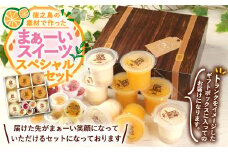 徳之島の素材で作った～まぁーいスイーツセットスペシャル～ ぜりっちょ 120ml×4個 れあちっちょ 70g×3個 れあちっちょソース 各14ml シークニン ゼリー レアチーズ おやつ スイーツ 国産 九州産 W-6-N