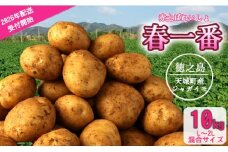【先行受付】徳之島 天城町産 赤土ばれいしょ 新じゃが【春一番】10kg L~2L 混合サイズ ジャガイモ じゃがいも ばれいしょ バレイショ F-5-N