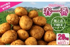 【先行受付】徳之島 天城町産 赤土ばれいしょ 新じゃが【春一番】20kg L~2L 混合サイズ ジャガイモ じゃがいも ばれいしょ バレイショ F-6-N