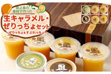 徳之島の素材で作った生キャラメル・ぜりっちょセット ～ぜりっちょ＆すぷれっちょ～ シークニン ゼリー 黒糖 抹茶 キャラメル おやつ 詰め合わせ デザート W-10-N