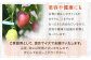 パッションフルーツ 家庭用3kg