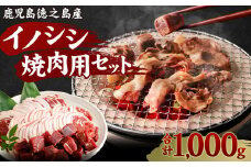 【鹿児島徳之島】イノシシ 焼肉用 セット1kg ジビエ ロース サイコロ バラ AI-16-N