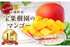 【2025年発送】徳之島 天城町産 宝果樹園 完熟マンゴー A品 1kg 贈答用 マンゴー AT-19-N