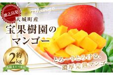 【2025年発送】徳之島 天城町産 宝果樹園 完熟マンゴー A品 2kg 贈答用 マンゴー AT-24