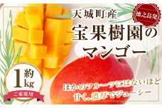 【2025年発送】 徳之島 天城町産 宝果樹園 完熟マンゴー ご家庭用  マンゴー 1kg AT-21-N
