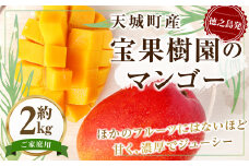 【2025年配送】徳之島 天城町産 宝果樹園 完熟マンゴー ご家庭用 2kg マンゴー AT-22-N
