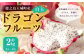 徳之島 天城町産 ドラゴンフルーツ 白玉 約2kg