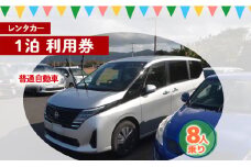 鹿児島県 徳之島 天城町 レンタカー 1泊利用券 普通自動車 8人乗り ビジネス 旅行 チケット