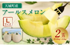 【2024年12月発送】徳之島 天城町産 農家直送 アールスメロン メロン マスクメロン L×2玉 AJ-21-N