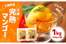 鹿児島県 徳之島 天城町産 冷凍 完熟 マンゴー 1kg（500g×2袋）冷凍マンゴー P-20-N