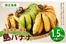 【鹿児島県天城町】【2025年発送】徳之島 子宝バナナ 1.5kg 島バナナ バナナ AL-6-N