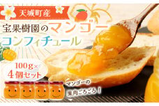 【天城町産】宝果樹園 の マンゴー コンフィチュール 100g×4個 セット AT-7-N