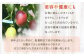 天城町産 パッションフルーツ A品 1kg