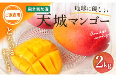 【2026年発送】【先行受付】徳之島 天城町産 完全無加温 完熟 マンゴー 家庭用 2kg P-6-N