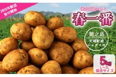 【先行受付】徳之島 天城町産 赤土ばれいしょ 新じゃが【春一番】5kg L～2L 混合サイズ ジャガイモ じゃがいも ばれいしょ バレイショ F-4-N
