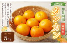 【鹿児島天城町】林果樹園 徳之島産 タンカン【ご家庭用】混合サイズ 5kg 柑橘 タンカン みかん AZ-1-N