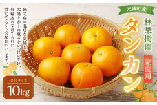 【鹿児島天城町】林果樹園 徳之島産 タンカン【ご家庭用】混合サイズ 10kg 柑橘 タンカン みかん AZ-2-N