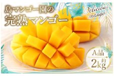 【2025年発送】徳之島 天城町【贈答用】島マンゴー園の完熟マンゴー Ａ品 2kg マンゴー フルーツ BA-2
