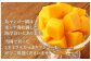 【数量限定追加】天城町産 島マンゴー園の完熟マンゴー【ご家庭用】1kg