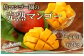 【数量限定追加】島マンゴー園の完熟マンゴー【ご家庭用】2kg