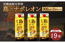 【定期便年3回】黒糖焼酎『島のナポレオン』900ml×3本セット 計9本 パック A-10-N