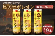 【定期便年3回】黒糖焼酎『島のナポレオン』1800ml×3本セット 計9本 パック A-13-N