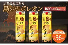 【定期便年12回】黒糖焼酎『島のナポレオン』1800ml×3本セット 計36本 パック A-15-N