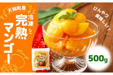 鹿児島県 徳之島 天城町産 冷凍 完熟 マンゴー 500g 冷凍マンゴー P-23-N