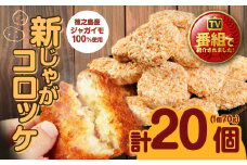 【 マツコの知らない世界 で紹介されました！】【鹿児島県天城町】徳之島産 新じゃがコロッケ 計20個（10個入り×2袋）じゃがいも 惣菜 おかず コロッケ 徳之島コロッケ BD-1-N