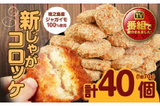 【 マツコの知らない世界 で紹介されました！】【鹿児島県天城町】徳之島産 新じゃがコロッケ 計40個（10個入り×4袋）じゃがいも 惣菜 おかず コロッケ 徳之島コロッケ BD-2-N