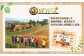 【鹿児島県天城町】徳之島産 新じゃがコロッケ 計80個（10個入り×8袋）じゃがいも 惣菜 おかず