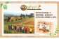 【鹿児島県天城町】徳之島産 新じゃがコロッケ 計100個（10個入り×10袋）じゃがいも 惣菜 おかず