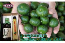 【鹿児島県天城町】徳之島産 生シークニン 1kg ポン酢･果汁セット M-10-N
