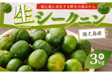 徳之島 天城町 徳之島産 生シークニン 3kg 生みかん シークニン シークワーサー 柑橘 M-11-N シークニン 島みかん